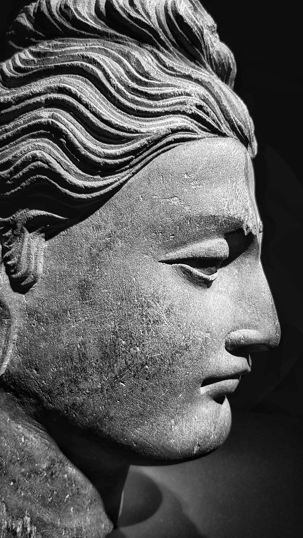 William Dalrymple, Freer Bodhisattva, 2021