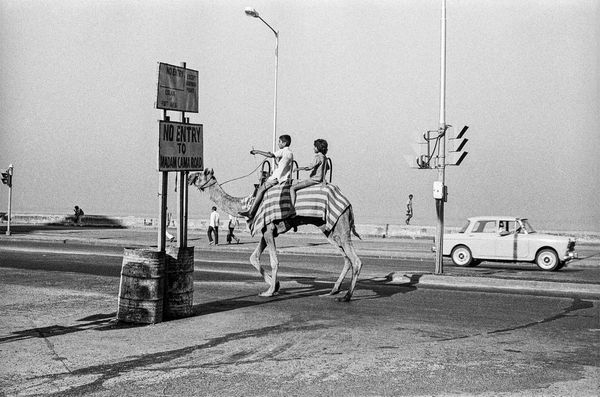 Sooni Taraporevala, Camel on Marine Drive Bombay, 1977