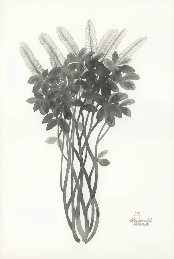 Chameli Ramachandran, Untitled, 2020