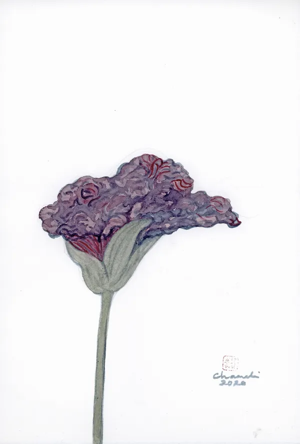 Chameli Ramachandran, Untitled, 2020