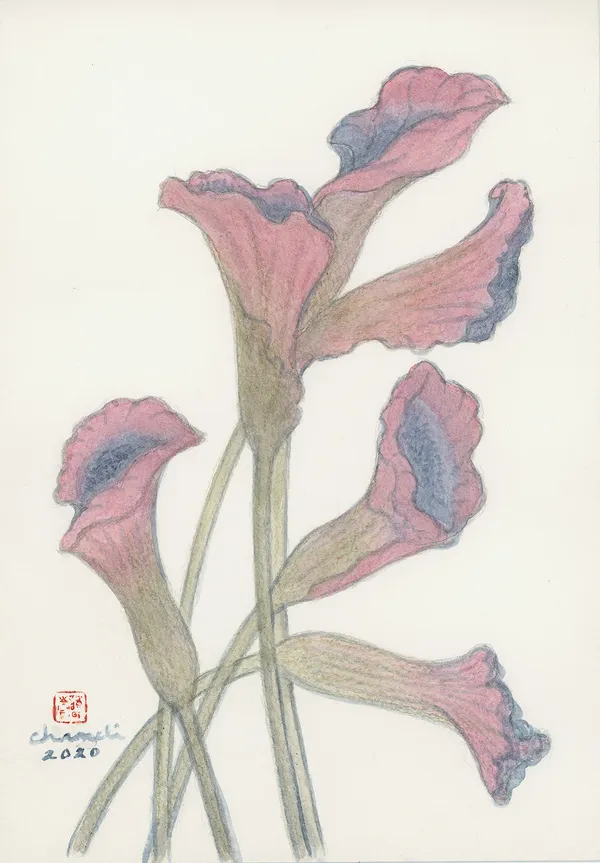 Chameli Ramachandran, Untitled, 2020