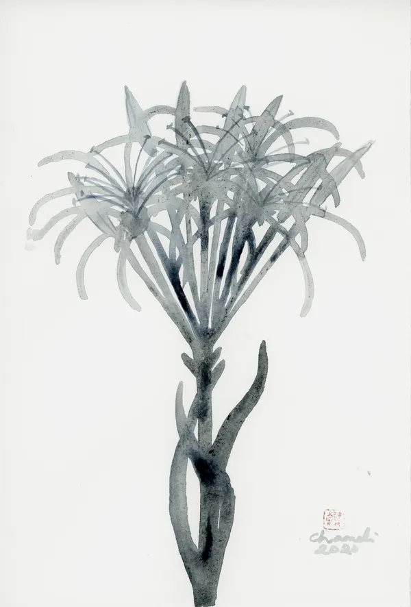 Chameli Ramachandran, Untitled, 2020