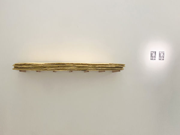 Shilpa Gupta, Untitled, 2023