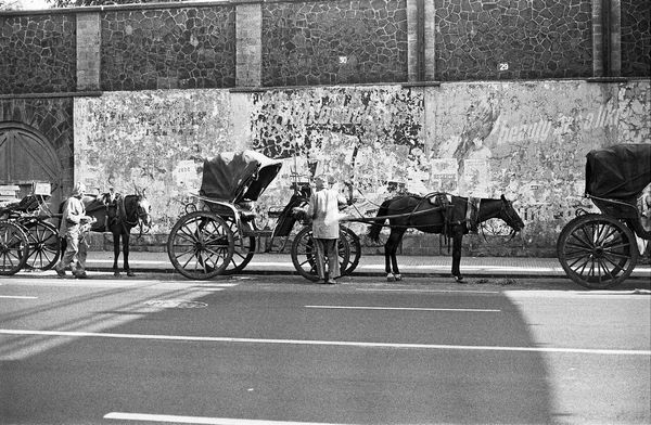 Sooni Taraporevala, Horses on Charni Road, Bombay, 1977