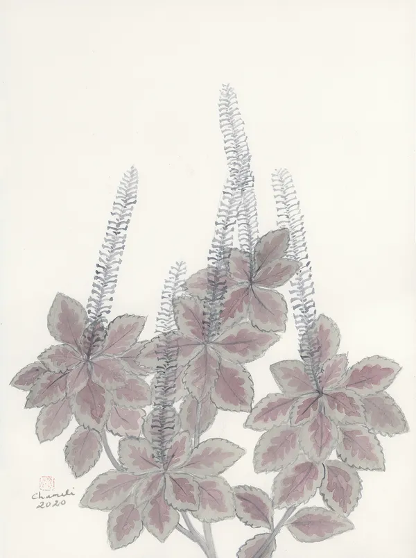 Chameli Ramachandran, Untitled, 2020