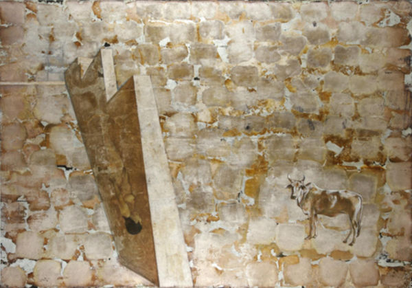 Vasundhara Tewari Broota, Untitled
