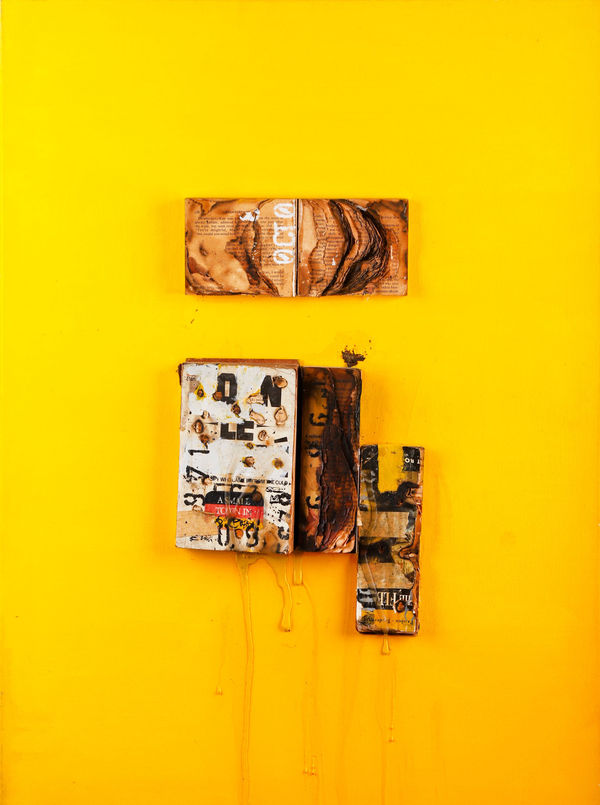 Kingsley Gunatillake, Year 1971, 2010