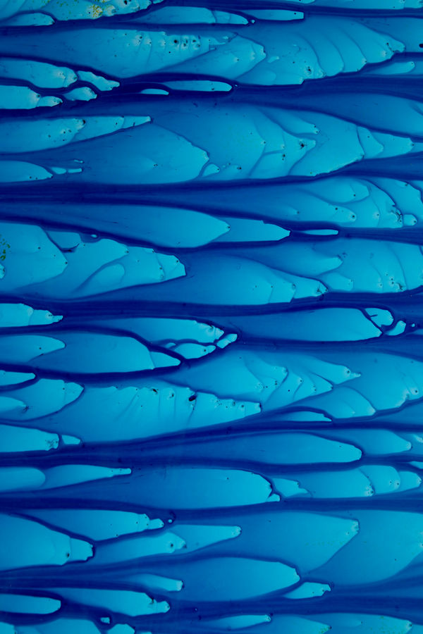 gestural abstract photographic print