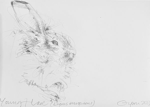 Frances Gynn RWA art for sale