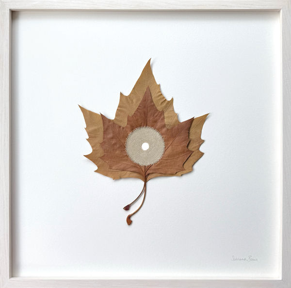 Susanna Bauer, Centered XX, 2025