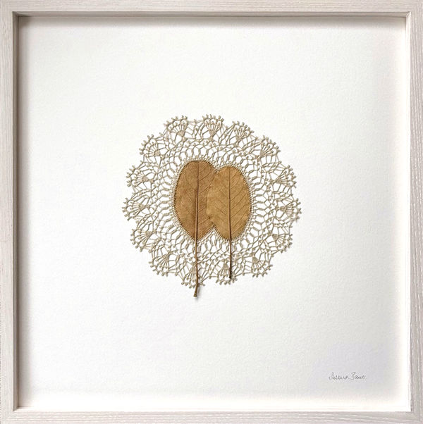 Susanna Bauer, Rays, 2025