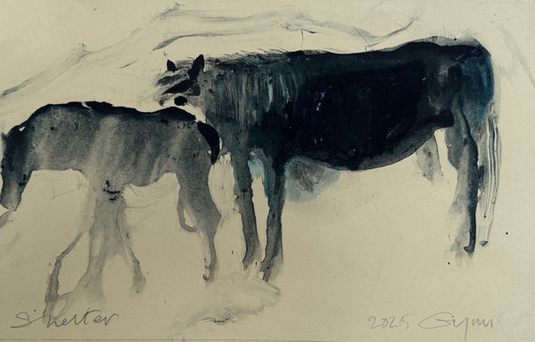 Frances Gynn RWA, Shelter, 2025