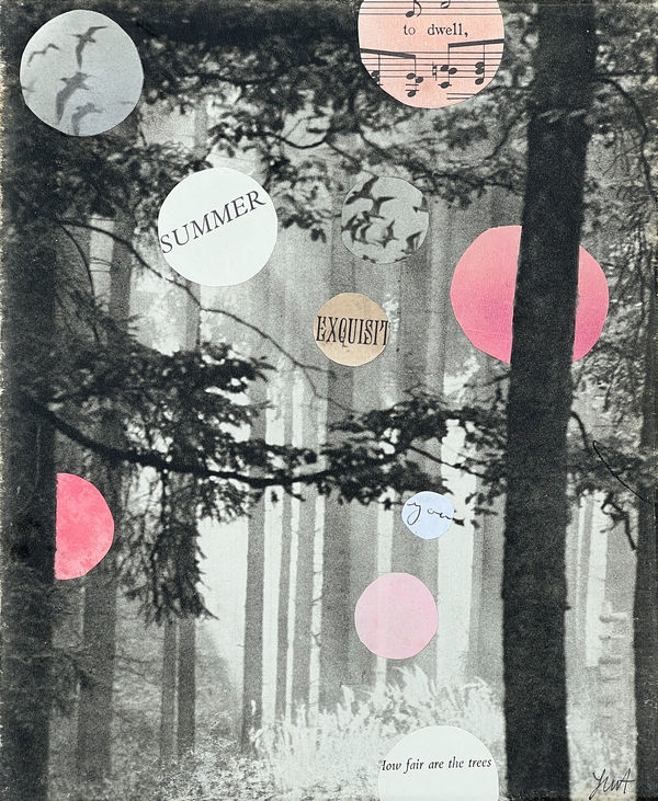 Sue Williams A'Court art for sale