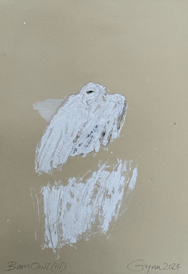 Frances Gynn RWA, Barn Owl (III), 2024