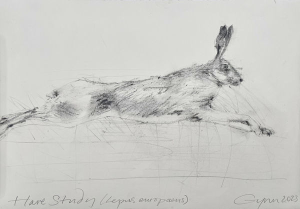 Frances Gynn RWA art for sale