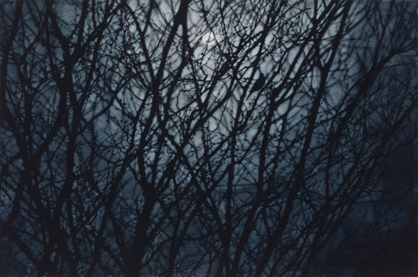 Sarah Gillespie, A Thousand Goodbyes, 2024