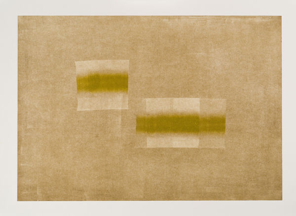 Shelly Tregoning - Limited Perspective - Monoprint