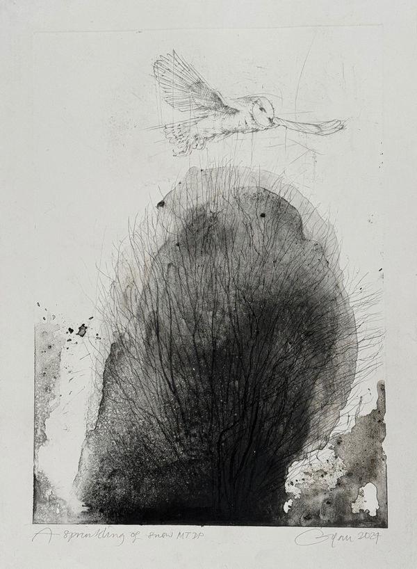 Frances Gynn RWA, A Sprinkling of Snow, 2024