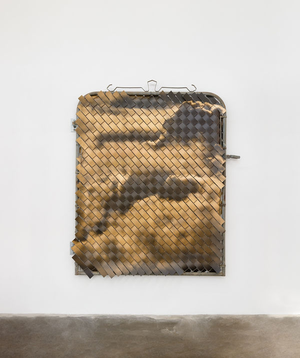 Glen Wilson Equivalents (Ethereal Observation #1), 2024 Salvaged steel gate, chain link mesh, and UV print on synthetic resin 74 x 63 1/2 x 2 1/4 in 188 x 161.3 x 5.7 cm