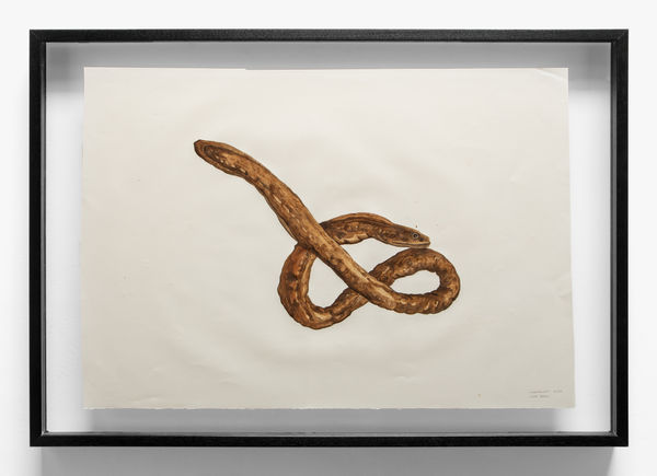 Brandon Ballengée MIA Redface Morray Eel, 2020 Mixed media with Deepwater Horizon source crude oil; Taylor/MC20 source crude; contaminated marshland sediment with oil; anaerobic bacteria and iron oxide; and COREXIT 9500A (dispersant) on Arches hot press watercolor paper. 27 x 38 1/2 in 68.6 x 97.8 cm (Framed)