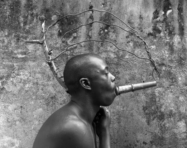 Arbol replantado (Relocated tree)