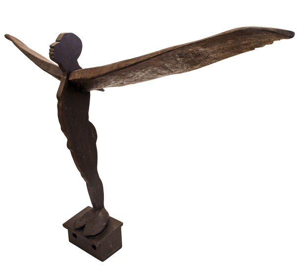 Volar no siempre fue una buena solución