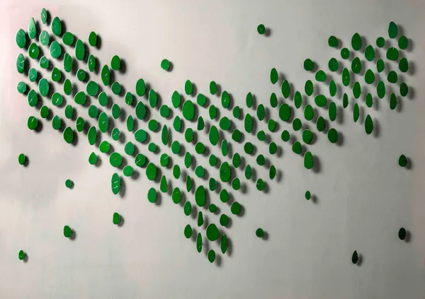 Carolina Sardi, Forest Green, 2013