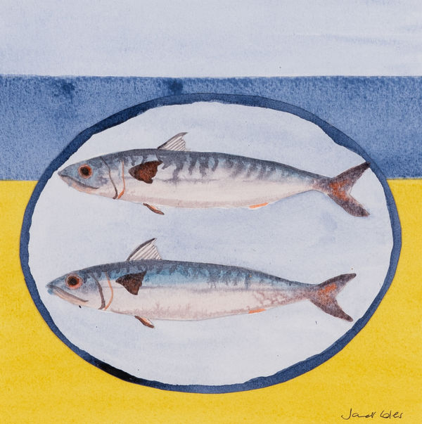 Janet Coles - Mackerel, 2025