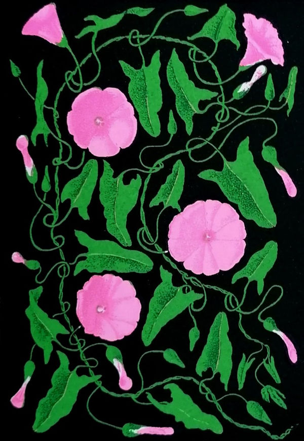 Martin Grover, Morning Glory