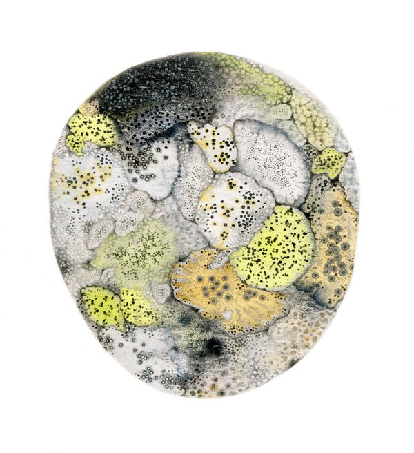 Rose Sanderson, Wonder V