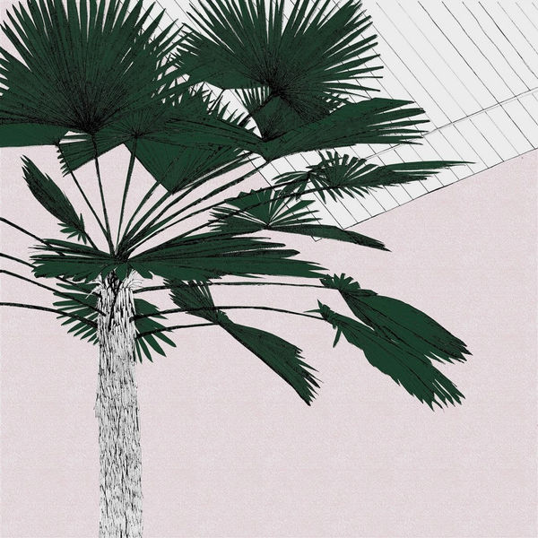 Clare Halifax, A Green Palm Blush