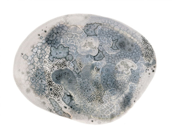 Rose Sanderson, Coalesce VI