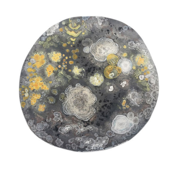 Rose Sanderson, Universe