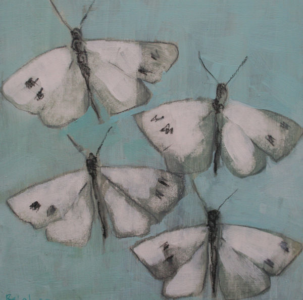 Christopher Rainham, Cabbage Whites