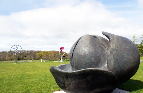 Anne Curry, Magnolia Grandiflora Bud
