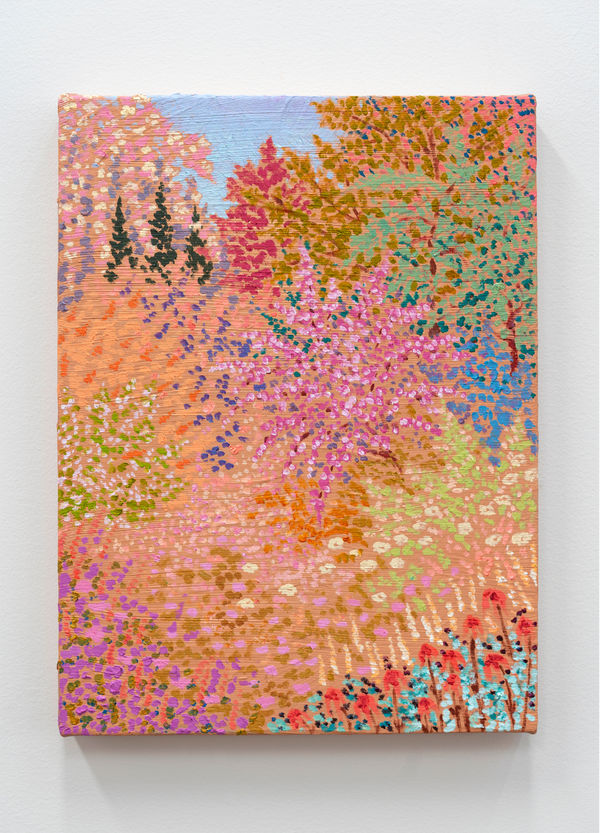 wilds wandered glitter glade