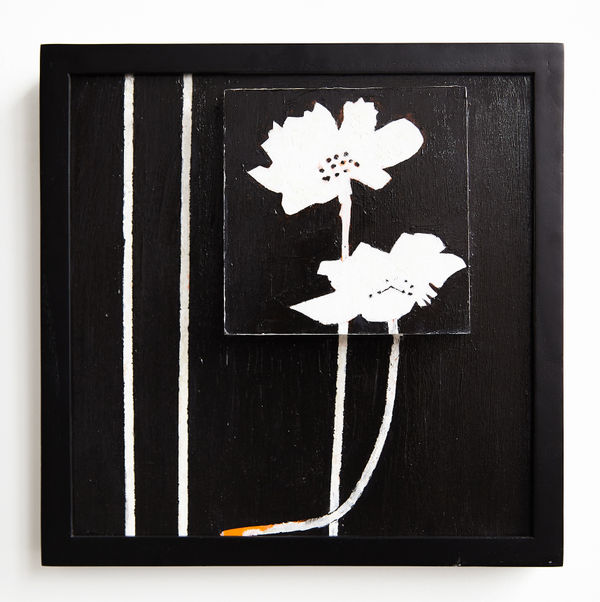 Don Hershman, Still Still #13, 2025