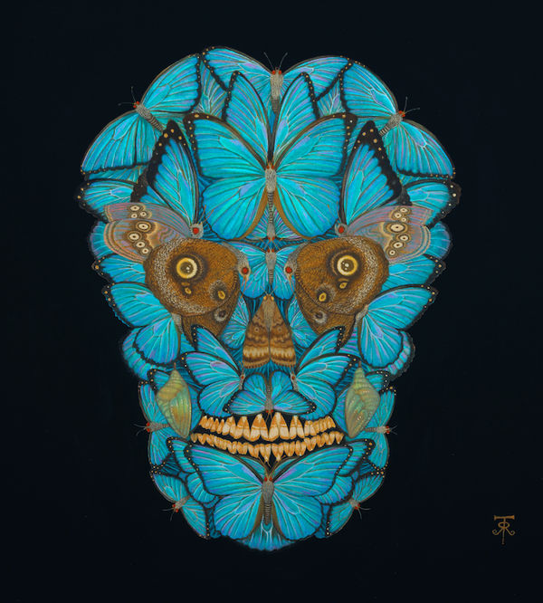 Tino Rodriguez, Poema Azul (Blue Morpho Skull), 2025