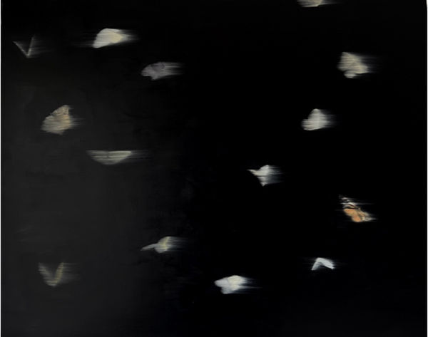 Deborah Schaefer, Unfixed Memories: Flicker II, 2025