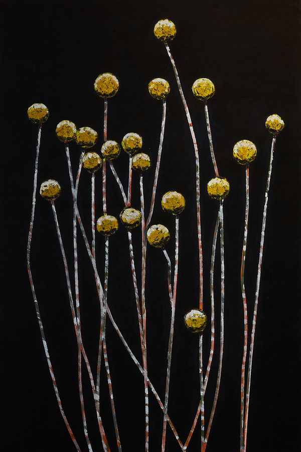 Don Hershman, Still LIfe - Serenity #8, 2025