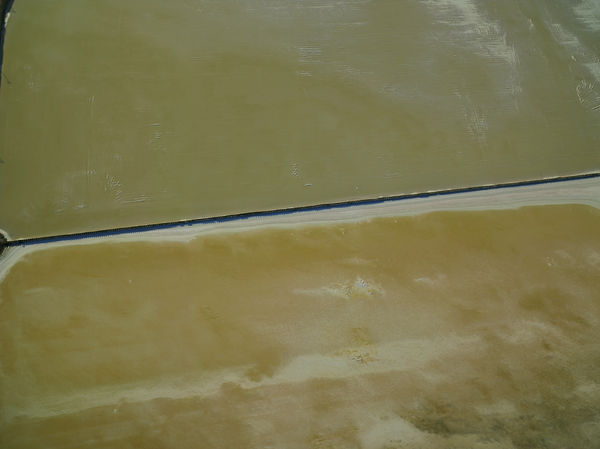 Thomas Heinser, Bay Salt 2293, 2025