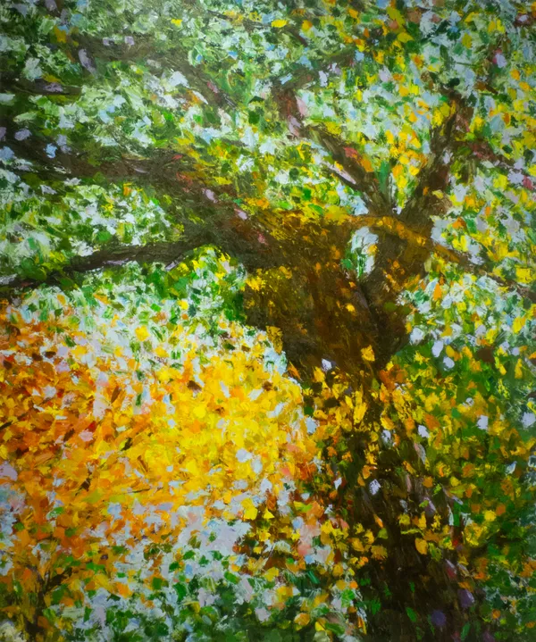 Ronnie Genotti, Beech (Fanghorn), 2024