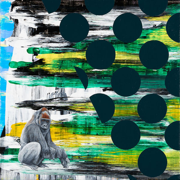 Kara Maria, Western Lowland Gorilla, 2015