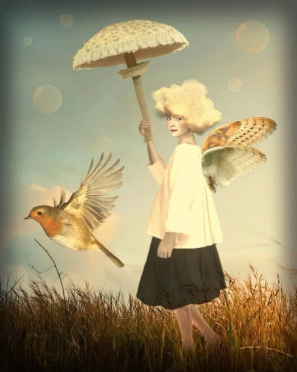 Sharry Phelan Wright, Whistle and Wisp Out for a Wander, 2025