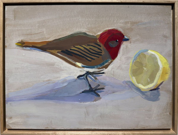 Linda Pouliot, Bird and Lemon, 2025