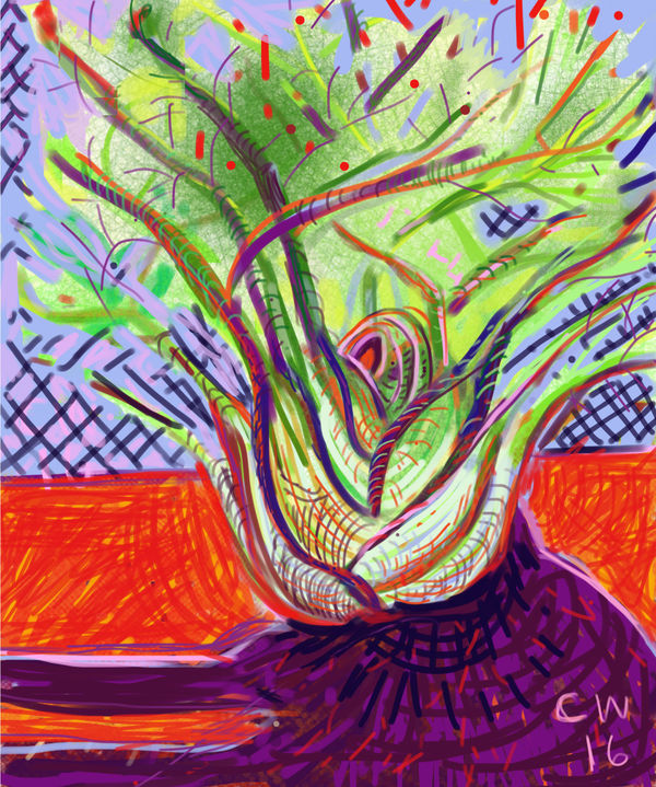 Curtis Wallin - Fennel Head, 2016