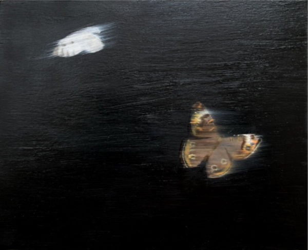 Deborah Schaefer, Unfixed Memories: Vanishing Flight III, 2025