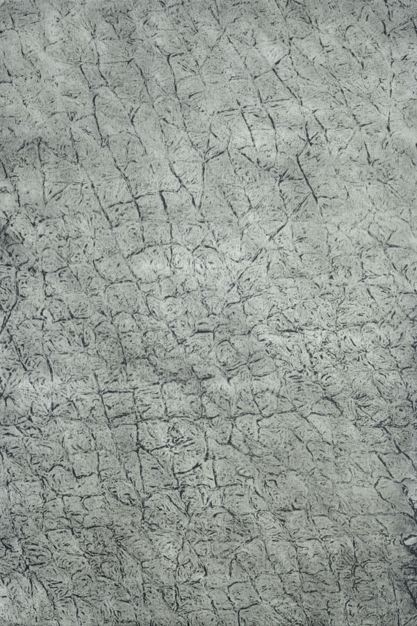 Lou Lim Eternity in Fragments 8, 2025 Oil on unprimed linen 24 x 16 inches