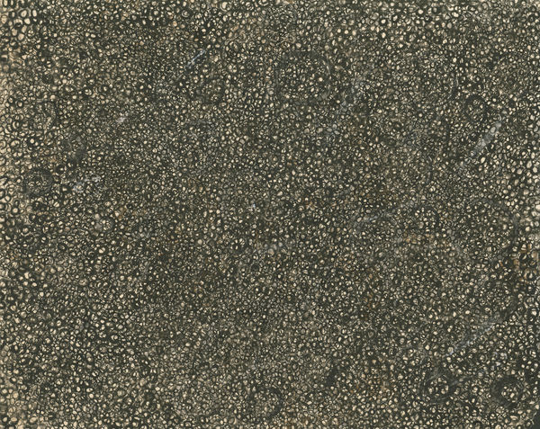 Abstract work on paper consisting of small marks covering the entire visual field