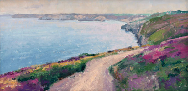 Andrew Barrowman, Cornwall Coastpath in July, St Agnes Head